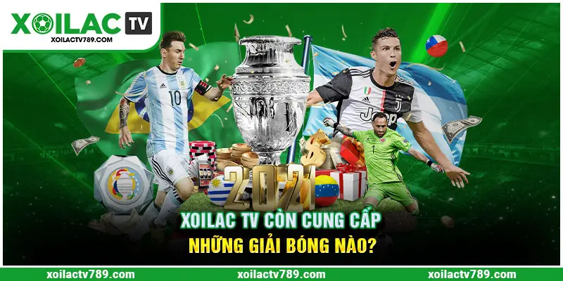 Những giải bóng đá Xoilac TV cung cấp