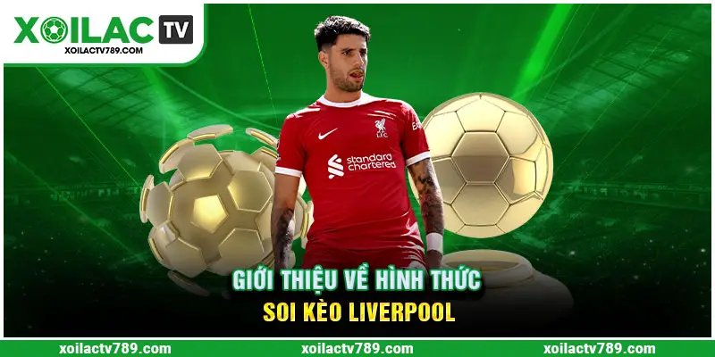 Soi kèo Liverpool diễn ra hàng ngày, hàng tuần