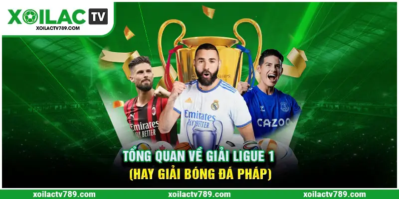 Giới thiệu giải đấu ligue 1 bóng đá Pháp